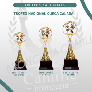 TROFEO NACIONAL CUECA CALADA
