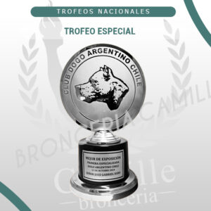 Trofeo Especial <br>35cms