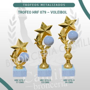 Trofeo HRF 079 - Voleibol