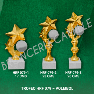Trofeo HRF 079 - Voleibol