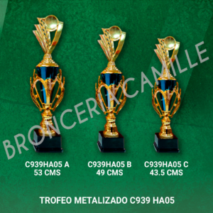 Trofeo Metalizado C939 HA05