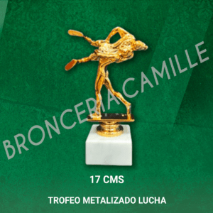 Trofeo Metalizado Lucha