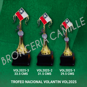 Trofeo Nacional Volantin - Modelo VOL 2025