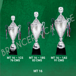 COPA IMPORTADA MT16 Desde 76cms Hasta 91cms