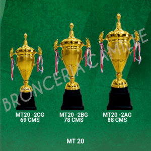 COPA IMPORTADA MT20 Desde 69cms Hasta 88cms