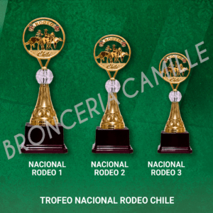 TROFEO DISCO RODEO