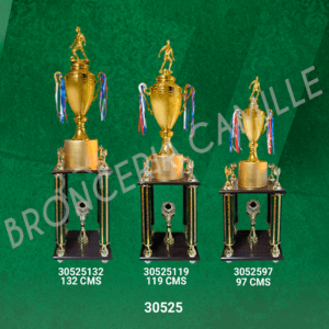 Copa Importada Modelo 30525