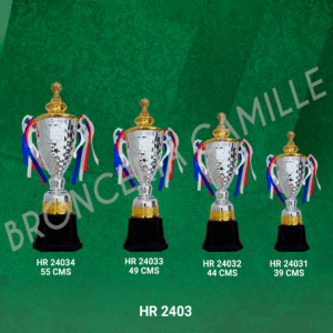 Copa Importada Metalizada HR 2403