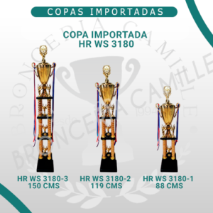 Copa Importada HR WS 3180