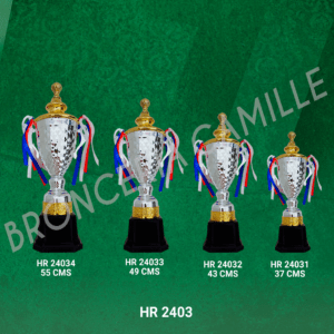 Copa Importada Metalizada HR 2403