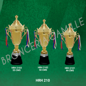 Copa Importada Metalizada HRH 210