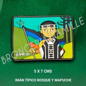 Imán Típico Bosque Y Mapuche