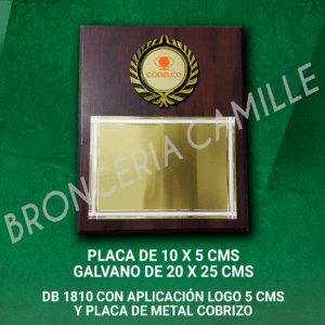 Db 1810 con Aplicación Logo 5 CMS y Placa de Metal con Grabado Personalizado