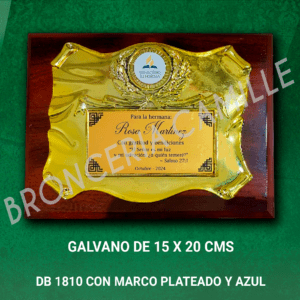 DB 168 Pergamino con Logo y Placa