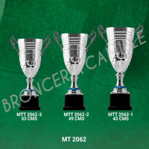 COPA IMPORTADA MT2062 Desde 43cms Hasta 53cms