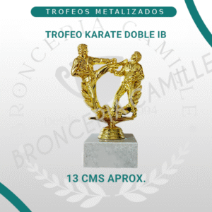 Trofeo Metalizado Karate Doble