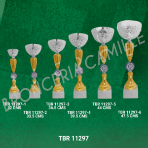 Copa Importada Modelo TBR 11297
