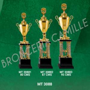 Copa Importada MT 3088