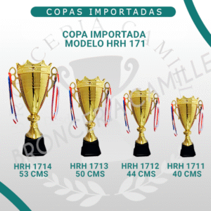 Copa Importada Modelo HRH 171