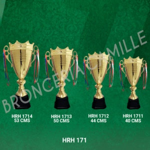 Copa Importada Modelo HRH 171
