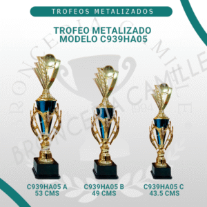 Trofeo Metalizado C939 HA05