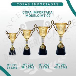 Copa Importada Modelo MT 09