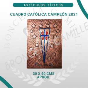 Cuadro Católica Campeón 2021