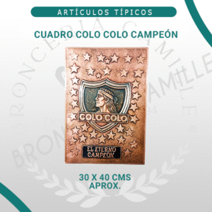 Cuadro Colo Colo Campeón