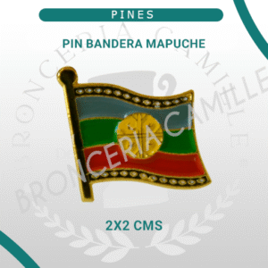 Pin Bandera Mapuche