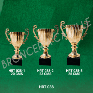 Copa importada HRT 038 Desde 20cms Hasta 25cms