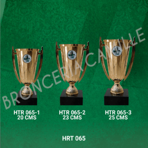 Copa importada HRT 065 Desde 20cms Hasta 25cms