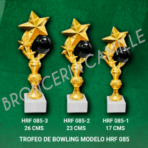 Trofeo de Bowling Modelo HRF 085
