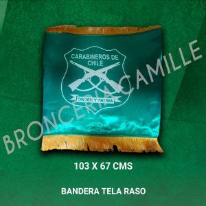 Bandera Tela Raso
