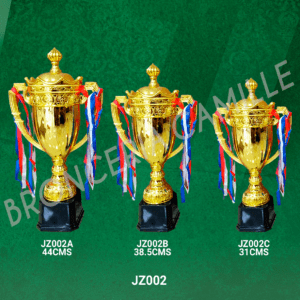 Copa Importada Modelo JZ002