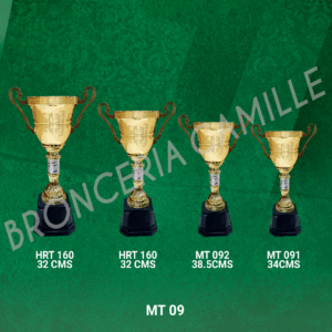 Copa Importada Modelo MT 09