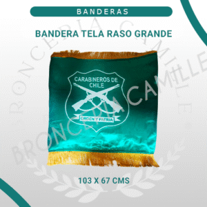 Bandera Tela Raso