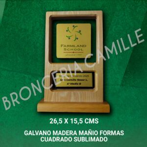 Galvano Madera Mañio Formas - Cuadrado Sublimado