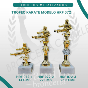 Trofeo HRF 072 Karate
