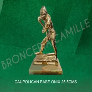 Caupolicán Base Onix 25.5 CMS