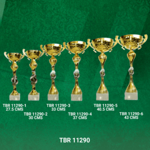 Copa Importada Modelo TBR 11290