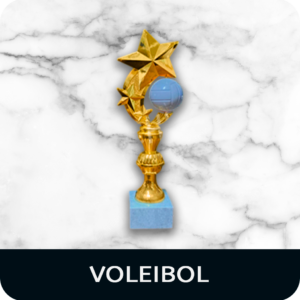 Voleibol