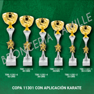 Copa 11304 Con Aplicación Karate