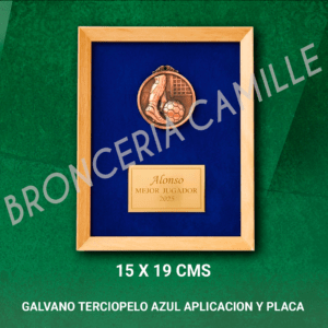 Galvano Terciopelo Azul Con Aplicación y Placa