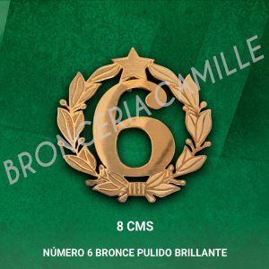 NÚMERO 6 BRONCE PULIDO BRILLANTE