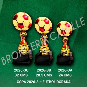 COPA 2026-3 – FUTBOL DORADA