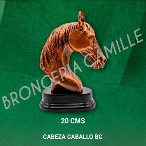 Cabeza Caballo BC