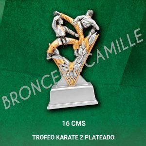 Trofeo Karate 2 Plateado