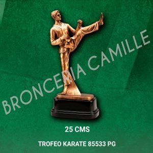 Trofeo Karate 85533 PG