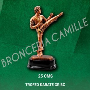 Trofeo Karate GR BC